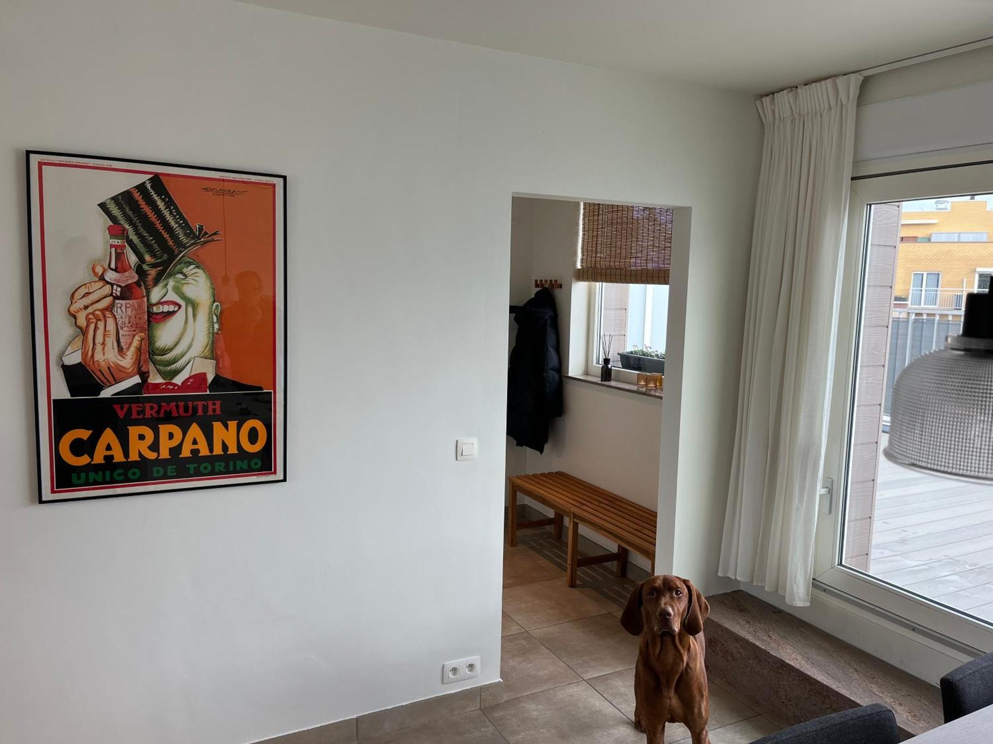 Apartament Penthouse 29 Ostenda Zewnętrze zdjęcie